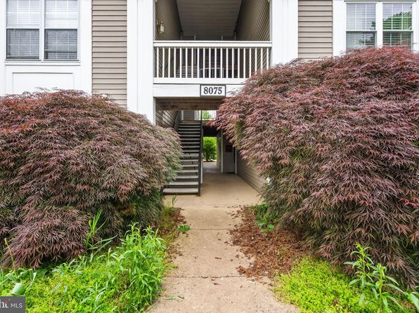 8075 Lacy Dr APT 303, Manassas, VA 20109