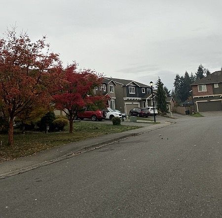 2nd image of 8024 129th Street Ct E