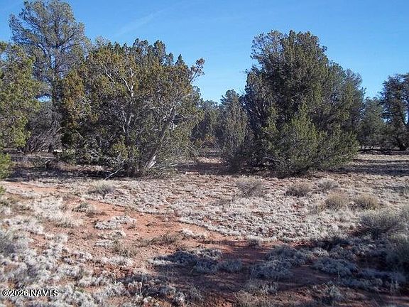 4th image of 4685 N Cattle Guard Rd