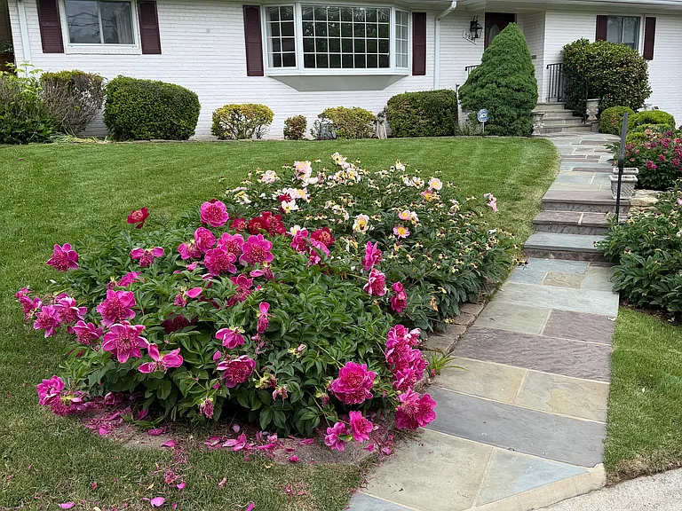 5841 Osceola Rd — Photo 38