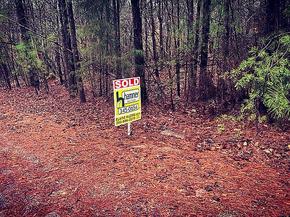 3rd image of 11204 Hilltop Loop