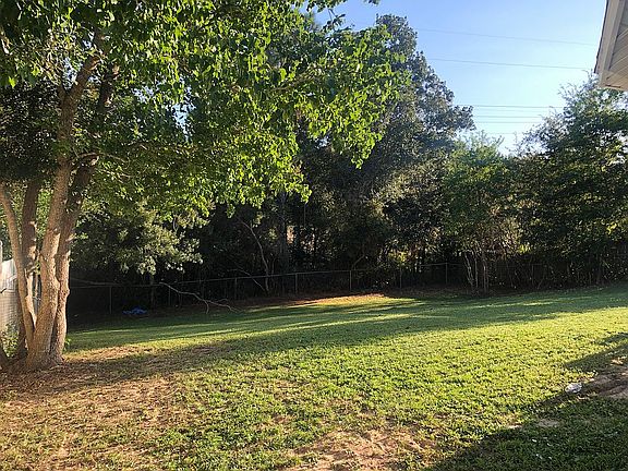 Backyard 9.2019