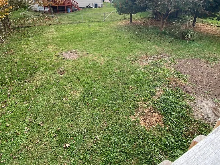 2907 Velden Dr — Photo 20