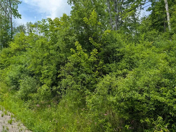 Lake Lorraine Ln Lot 6, Norwich, NY 13815