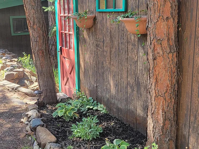 Summer garden
