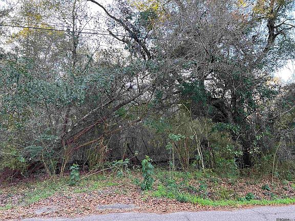 5th image of Tba Vis