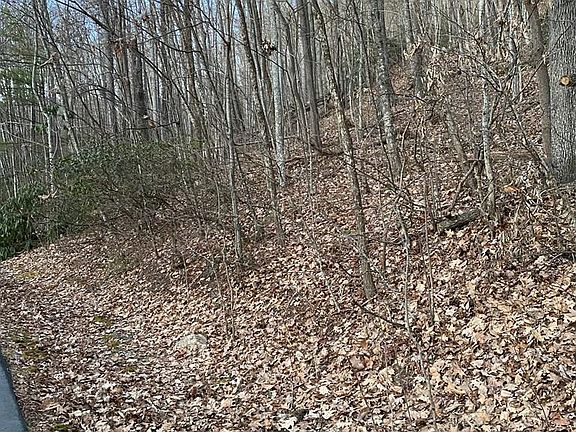 3rd image of Lot 121 Black Oak Drive