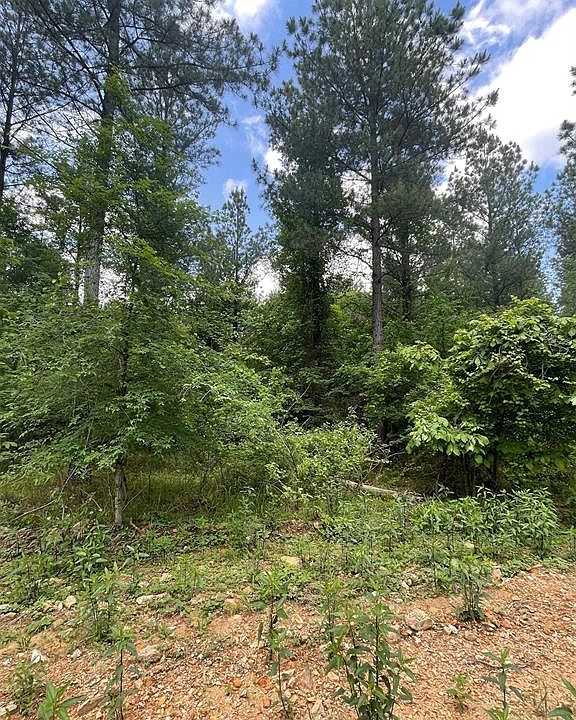 2nd image of 702 Timber Creek Trl