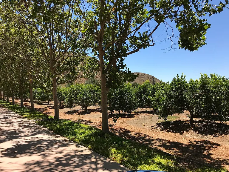 6933A Solano Verde Dr — Photo 15