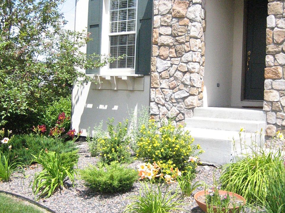 Front Garden View
