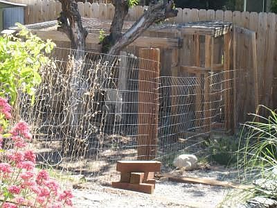 CHICKEN COOP