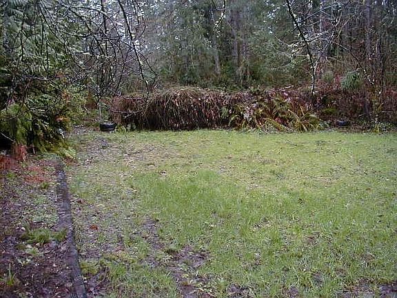 Back yard