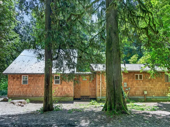 71010 E McFarland Rd, Rhododendron, OR 97049