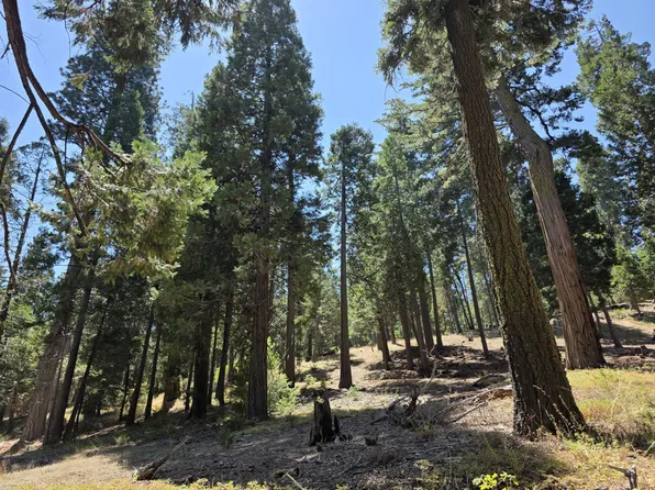 5308109 Old State Rd, Wofford Heights, CA 93285