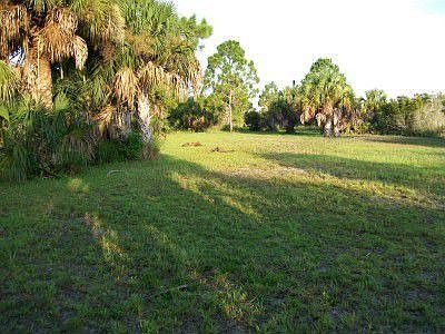 secluded back acre
