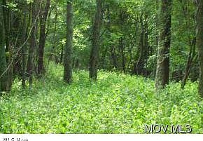 2nd image of 0 Buffalo Run Rd