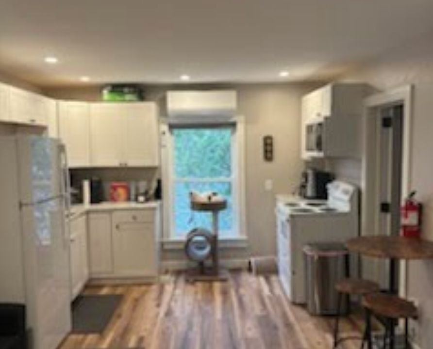 Kitchen (living beind)