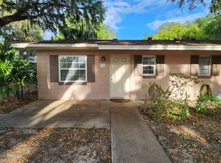 510 Michigan St, Mount Dora, FL 32757