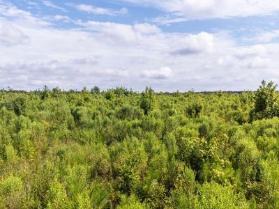 0 Ouzts Rd, Edgefield, SC, 29824