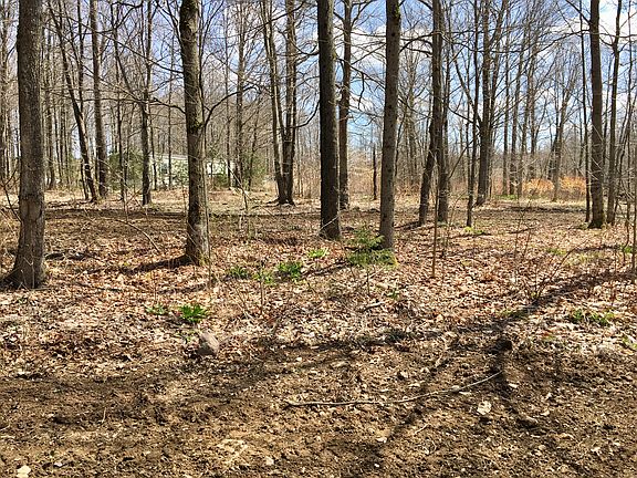 2nd image of 398 Rollie Brown Rd