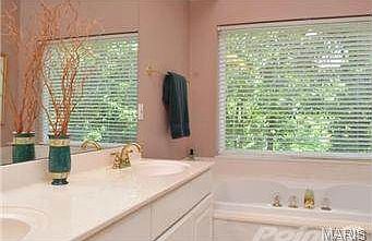 Luxury master bath with double vanity and spa bath.