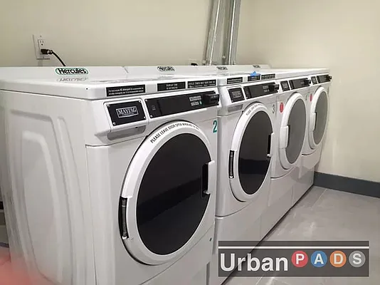 Rented by Urban Pads | media 13