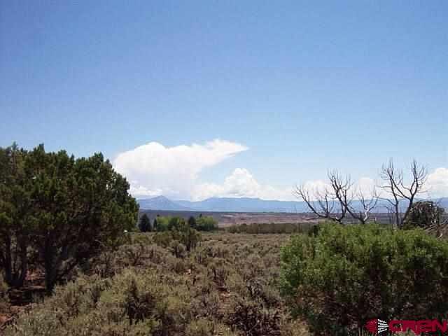 2nd image of 25529 Cactus Park Rd