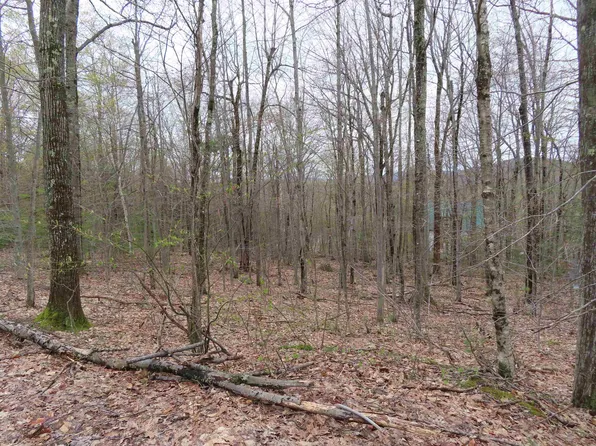 Lot 6 Frohock Brook Road, Alton, NH 03810