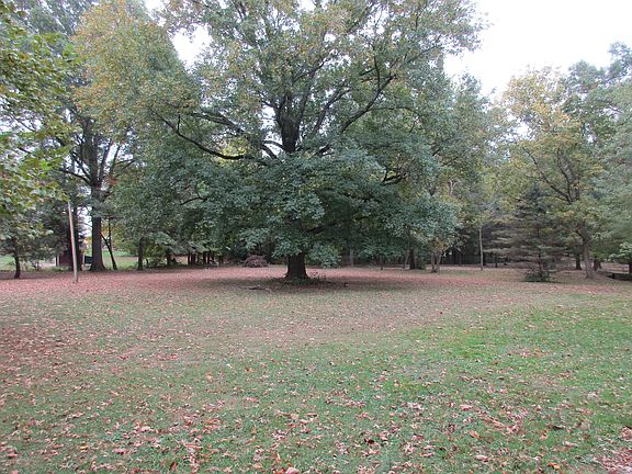 Yard/Mature Landscaping