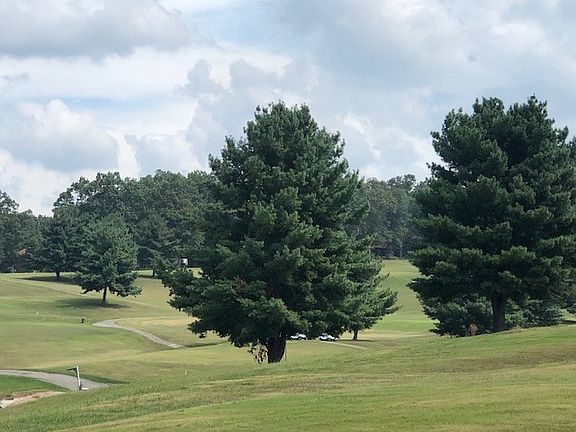 2nd image of LOT 39 Fairway Dr