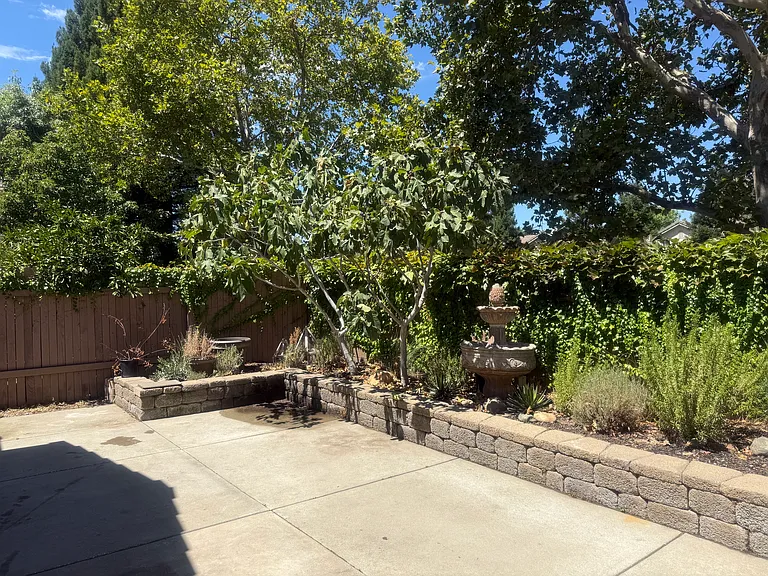 12077 Silver Point Ln — Photo 12