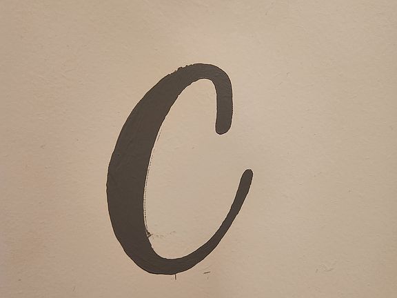 Room C is the master suite. It is spacious and includes a real WALK-IN closet with serious clothes space.