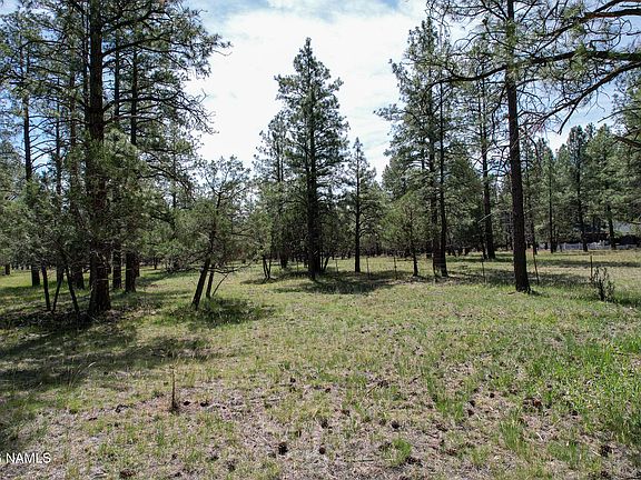 5th image of 581 Cooper Ranch Rd Lot 4