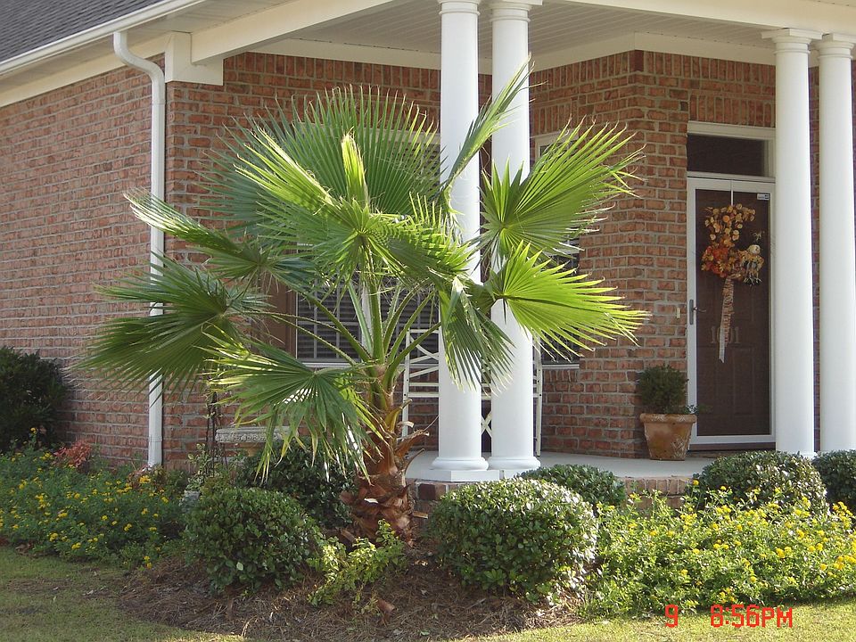 2nd image of 1601 Goose Landing Cir