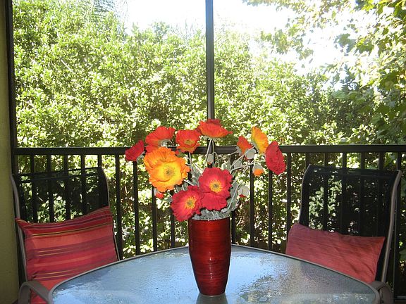 Wonderful Balcony!