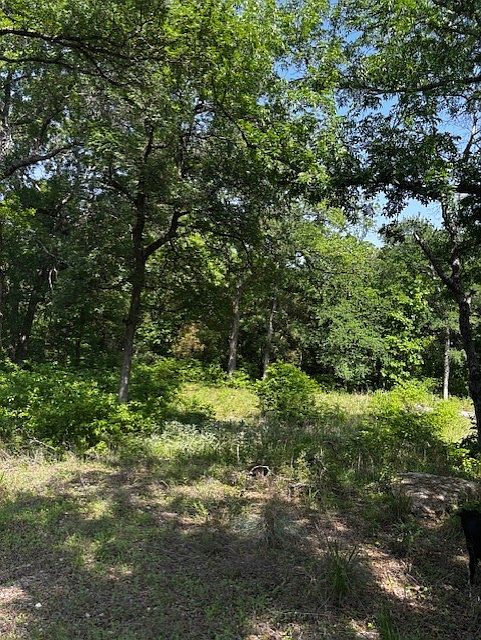 1st image of 1255 Eagles Bluff Dr