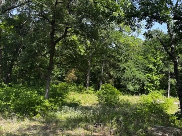 1255 Eagles Bluff Dr, Weatherford, TX 76087