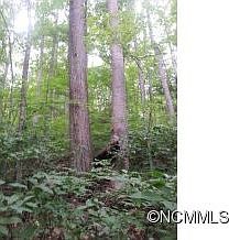 3rd image of 1415 Dogwood Dr