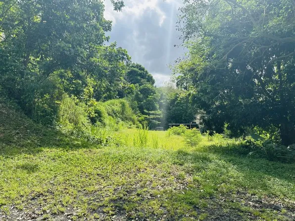 Bo Minillas Sector Pepe Torres Lote #5, Bayamon, PR 00956