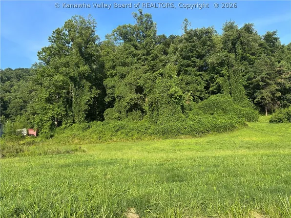 32 Wintergreen Ln, Chapmanville, WV 25508
