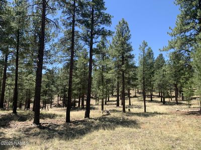 2343 E Del Rae Dr #176, Flagstaff, AZ, 86005