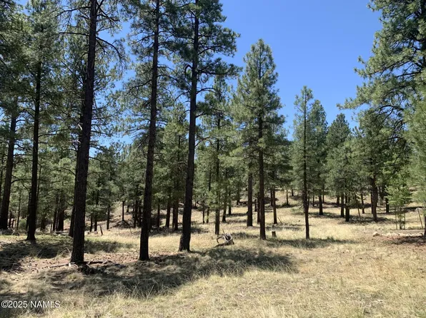 2343 E Del Rae Dr #176, Flagstaff, AZ 86005