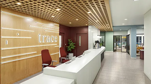 Trace Photo 1