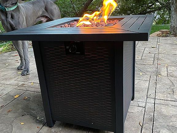 dog not included