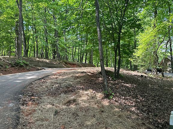 4th image of 142 Chestnut Oak Point