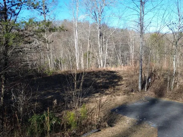 138 Fairlane Loop, Whittier, NC 28789