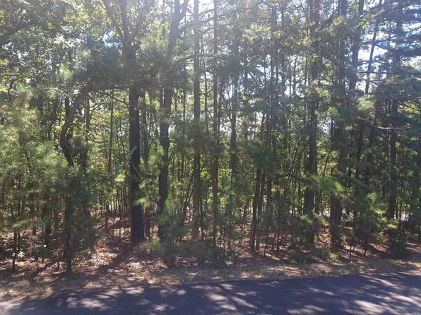 1 Pulpo Pl, Hot Springs Village, AR 71909