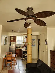 Rented by Corcoran