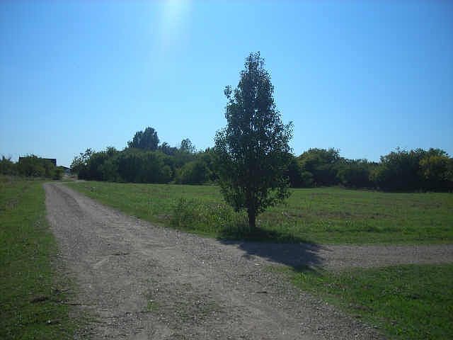 2nd image of 2035 Christian Rd