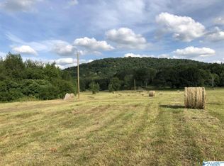 9869 Al Highway 79 S, Guntersville, AL 35976